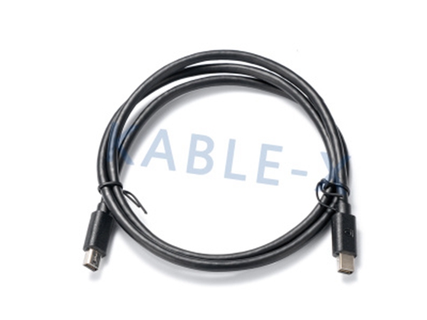 DP cable