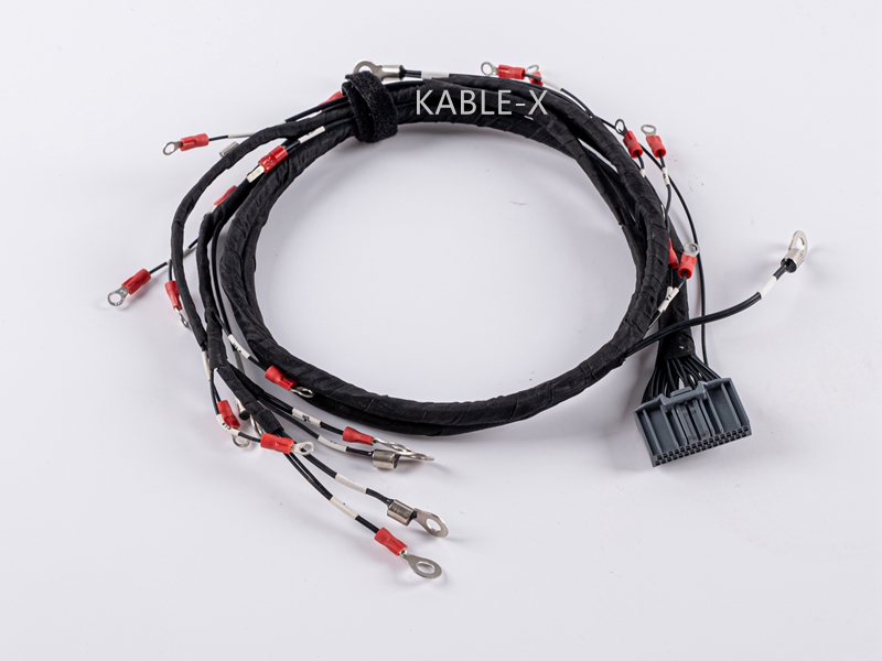 Temperature & Voltage Sampling Wire Harness